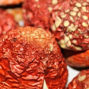 Dried amanita mushroom caps.